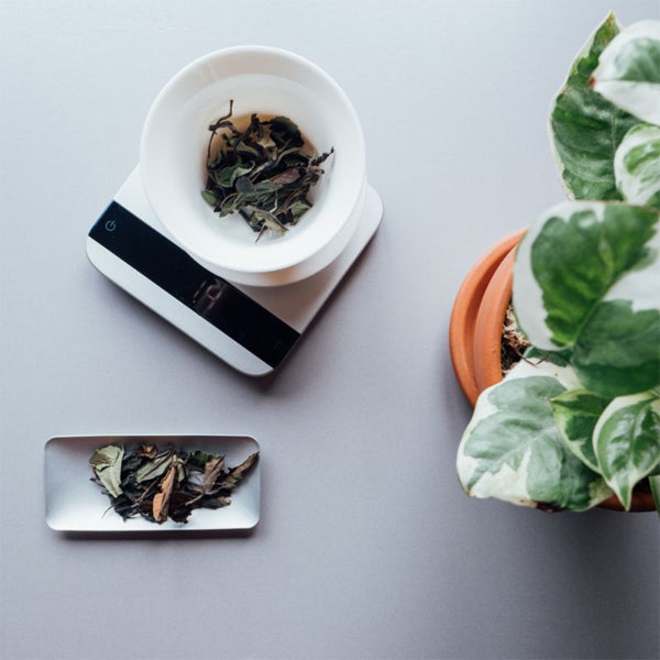 Acaia Tea Scoops