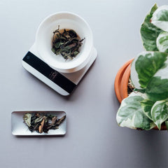 Acaia Tea Scoops