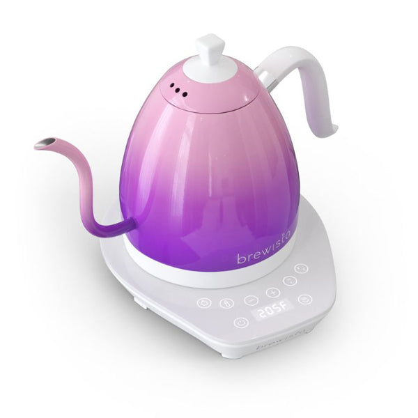 Brewista Artisan Gooseneck Variable Kettle